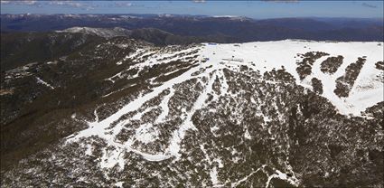 Mt Buller - VIC T (PBH4 00 9508)